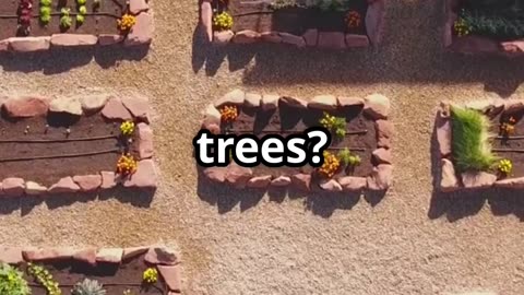 Homeowner Prepping Hacks Turn Your Backyard into a Survival Cheat Code!