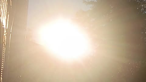 Sunset video