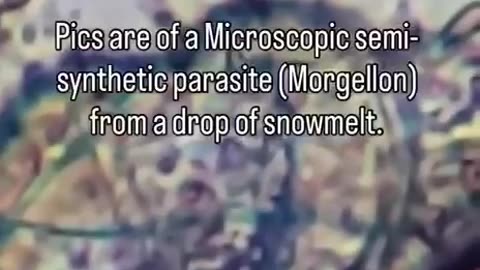 SNOW UNDER A MICROSCOPE - Microscopic Semi-Synthetic Parasite Morgellon from Recent Snowfall