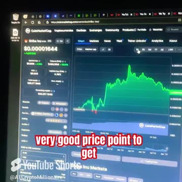 shiba inu price prediction #fyp