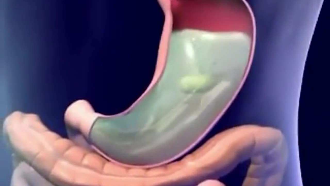 Human Digestive System 3D Animation See How Digestive System Works