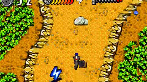 Game Boy Advance Longplay [340] The Wild Thornberrys Movie