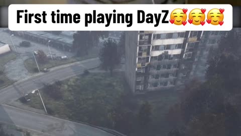 First time playing DayZ