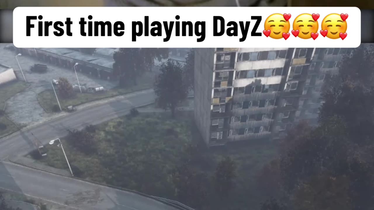 First time playing DayZ