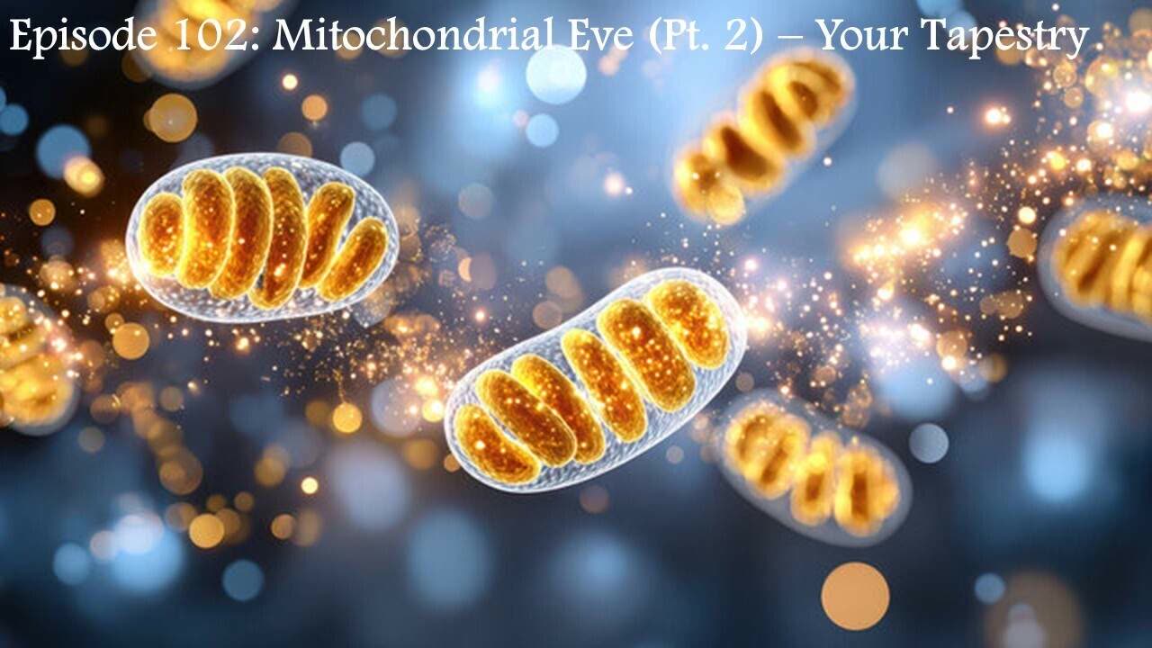 Episode 102: Mitochondrial Eve (Pt. 2) - Your Tapestry