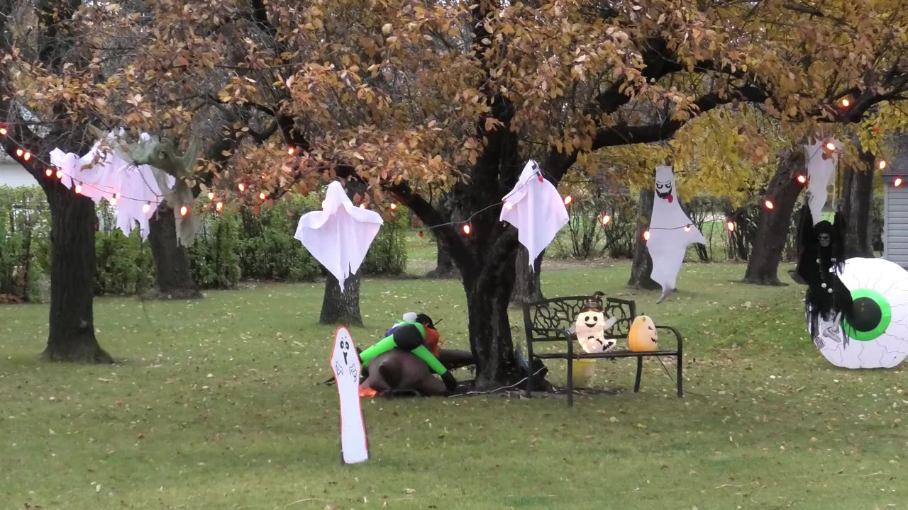 Things Are Happening in WestLake-Gladstone! (Oct.27, 2025)