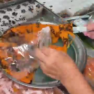 No Sugar Needed — Only Honey-Sweetened Desserts!