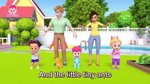 The Little Tiny Ants