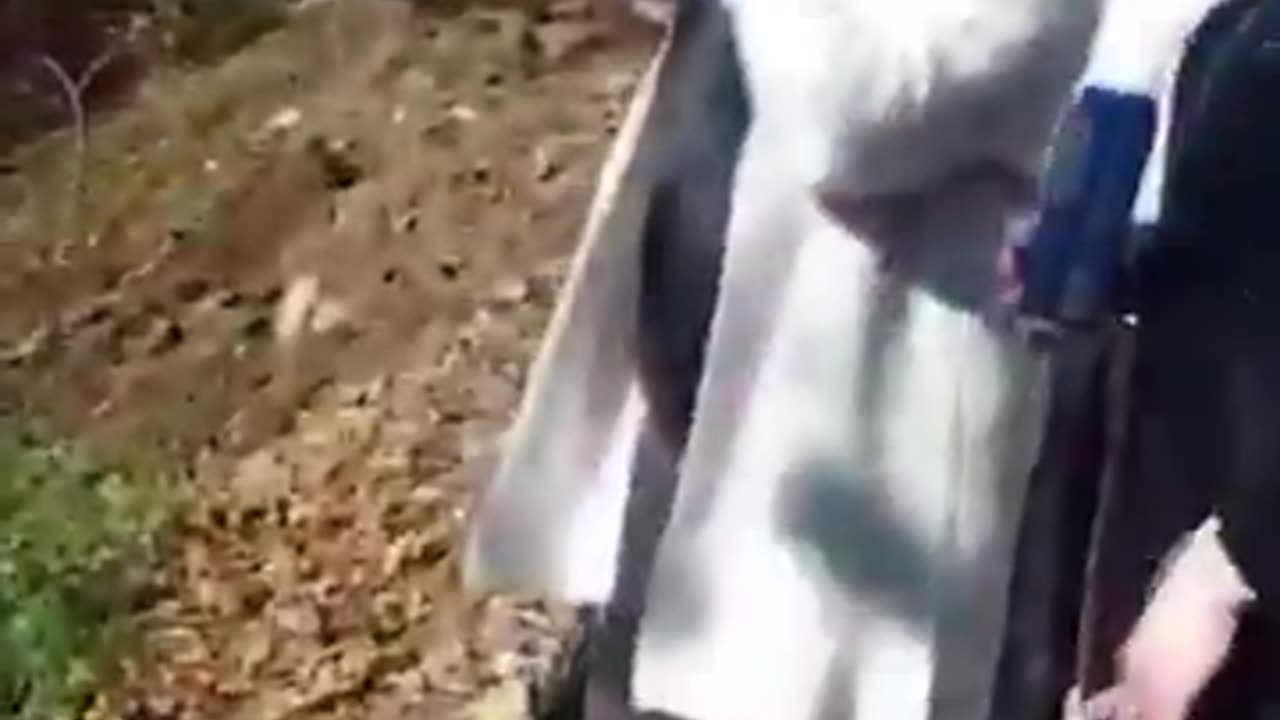 A bus carrying about 50 Yerevan State University students crashed into a ravine