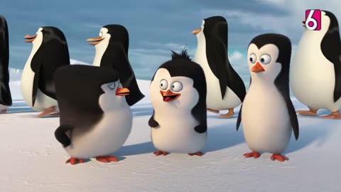 [R] Inicio de "Los Pingüinos del Madagascar: La Película" en Canal 6 (El Salvador 🇸🇻) (18/01/2026)