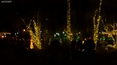 Celebration of Lights