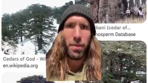 America is the real old world and the holy land of the Bible.