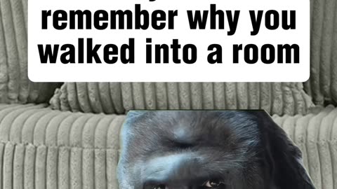 Is it normal to forget why you walk into a room?