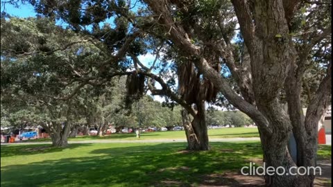 Mission bay Auckland New Zealand Tour