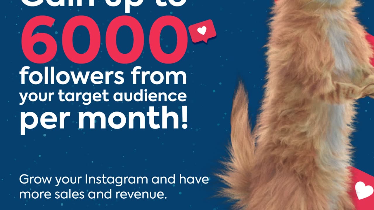 🔥 Boost Your Instagram: How to Gain Followers Automatically!