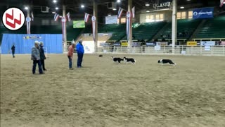 Trent Loos in the Morning - 11/26/2025