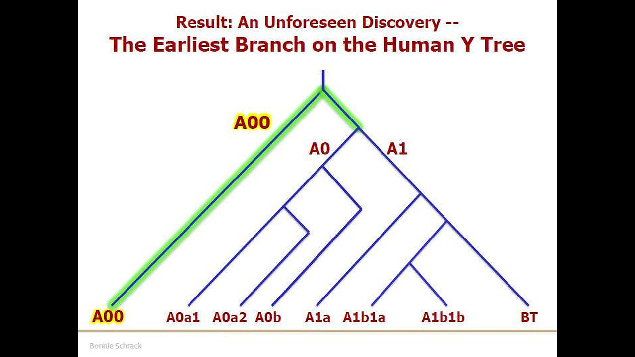 THE PARABLE OF THE TWO TREES , VIDEO 3 OF 12 ON BIBLEGENETIC