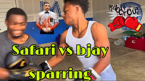 Safari and bjay - sparring