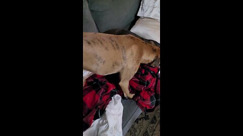 You can't change EVERYTHING, bit you can change this!