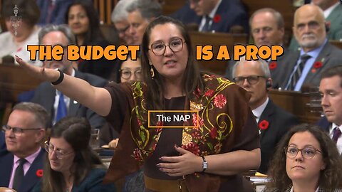 The Budget Is A Prop – November 6, 2025 – ORNAP Supplement