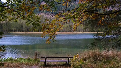 Relaxing Autumn River Sounds – Peaceful Classical Music for Focus & Calm