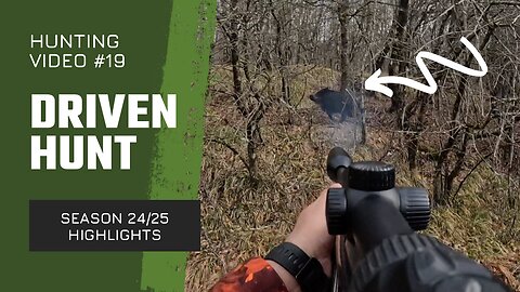 Driven hunt highlights - season 24/25 (Drückjagd, Chasse en battue)