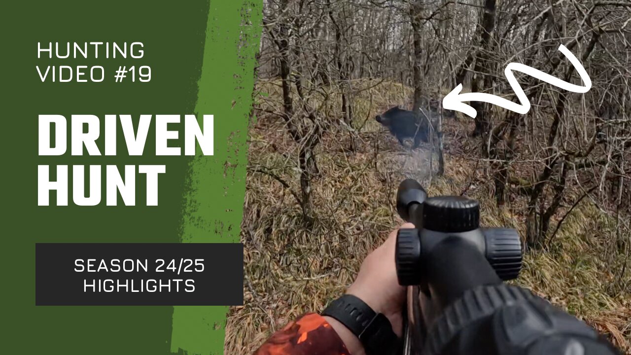 Driven hunt highlights - season 24/25 (Drückjagd, Chasse en battue)