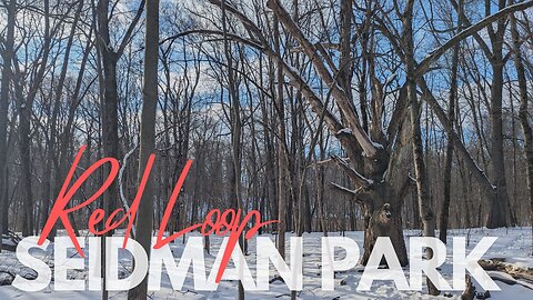 Seidman Park Red Loop, Sunny Snowy Hike | Full Hike POV | Hiking, Nature ASMR | Kent Co., MI