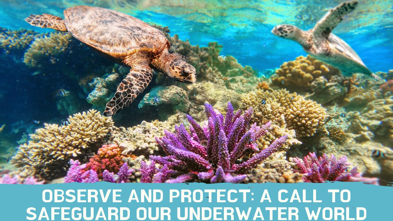 Observe and Protect: A Call to Safeguard Our Underwater World