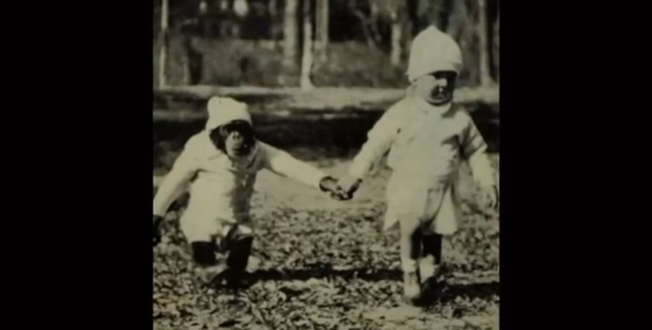 Everything you do in this world has an impact