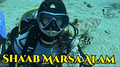 Sha'ab Marsa Alam | Egypt | Marsa Alam