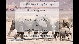 The Evolution of Marriage