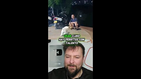 Hay perritos hábiles y otros no tanto 😅
