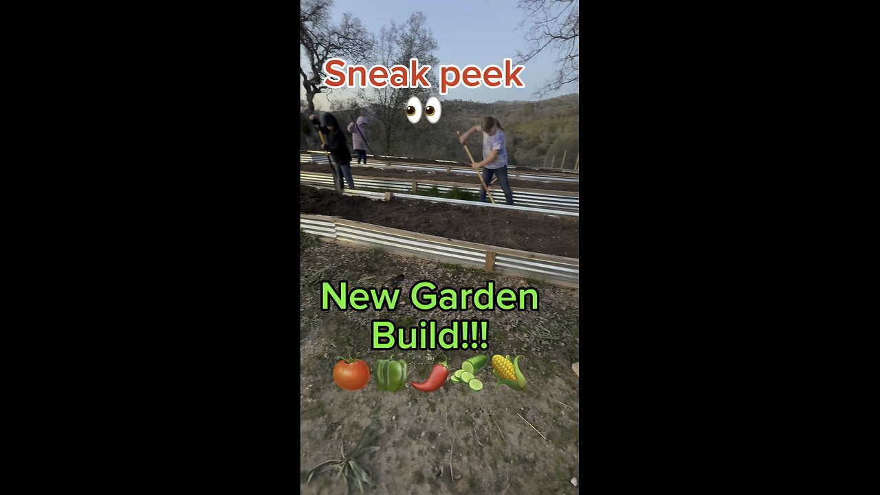 New season, new garden! Here’s a sneak peek at our fresh setup—can you guess what’s next?