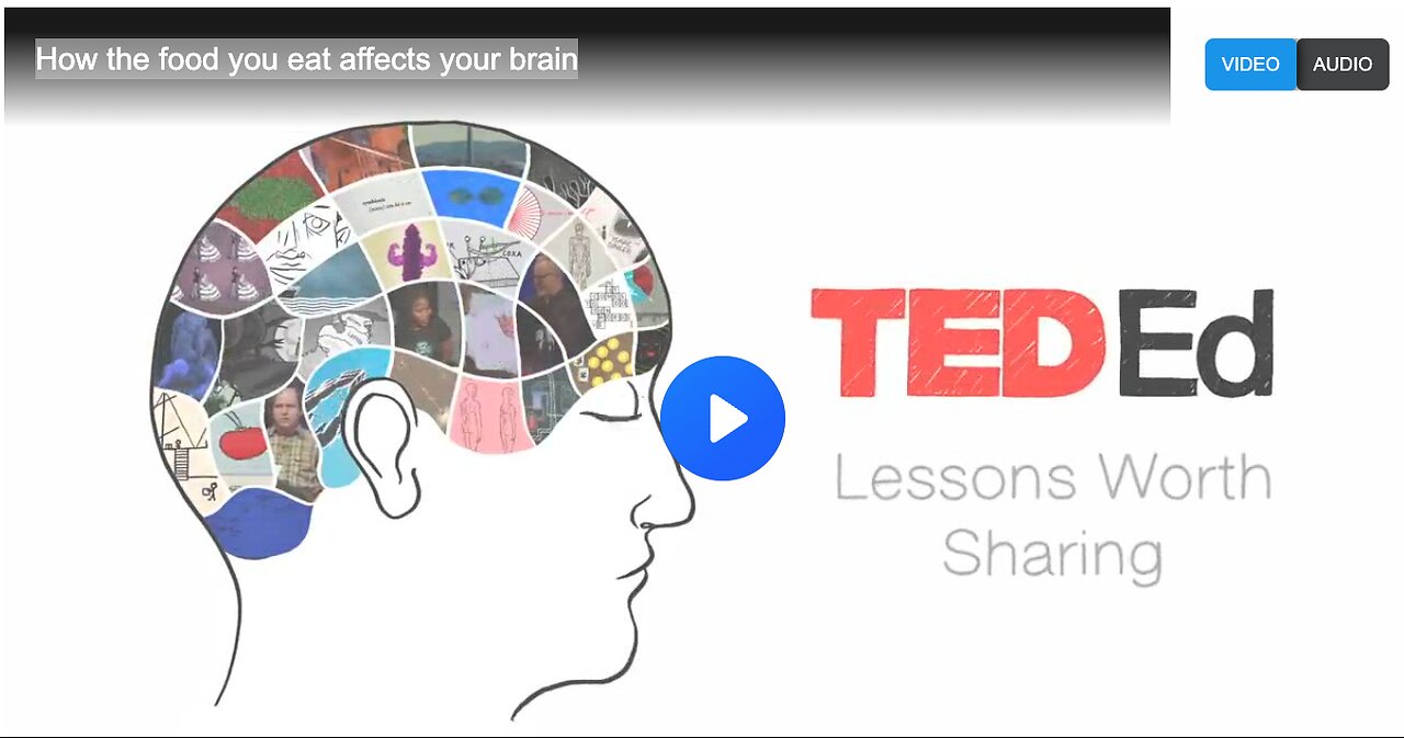 How the food you eat affects your brain