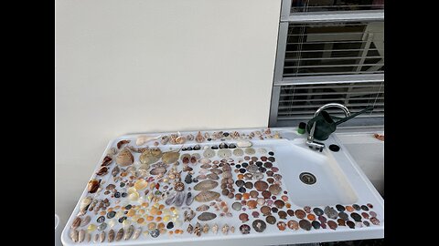 Beach Finds 12/17/2025 | 4K