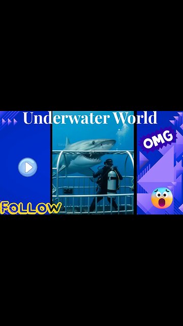 🌊 Underwater World 🌊 | Stunning Ocean Life & Deep Sea Wonders 🐠🐡🐋