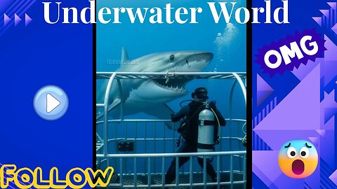 🌊 Underwater World 🌊 | Stunning Ocean Life & Deep Sea Wonders 🐠🐡🐋