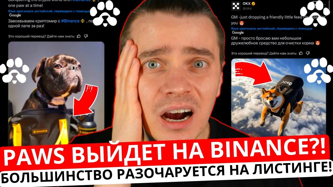 ⚠️PAWS НА BINANCE_! 🚨 СРОЧНО! 🚨 БОЛЬШИНСТВО РАЗОЧАРУЕТСЯ НА ЛИСТИНГЕ! НА КАКИХ БИРЖАХ БУДЕТ ЛИСТИН