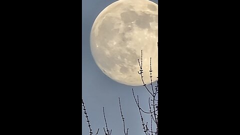 The Symbolic Shift of Leadership