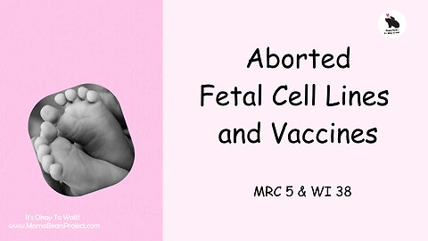 Are Aborted Fetal Cell Lines in Childhood Vaccines?