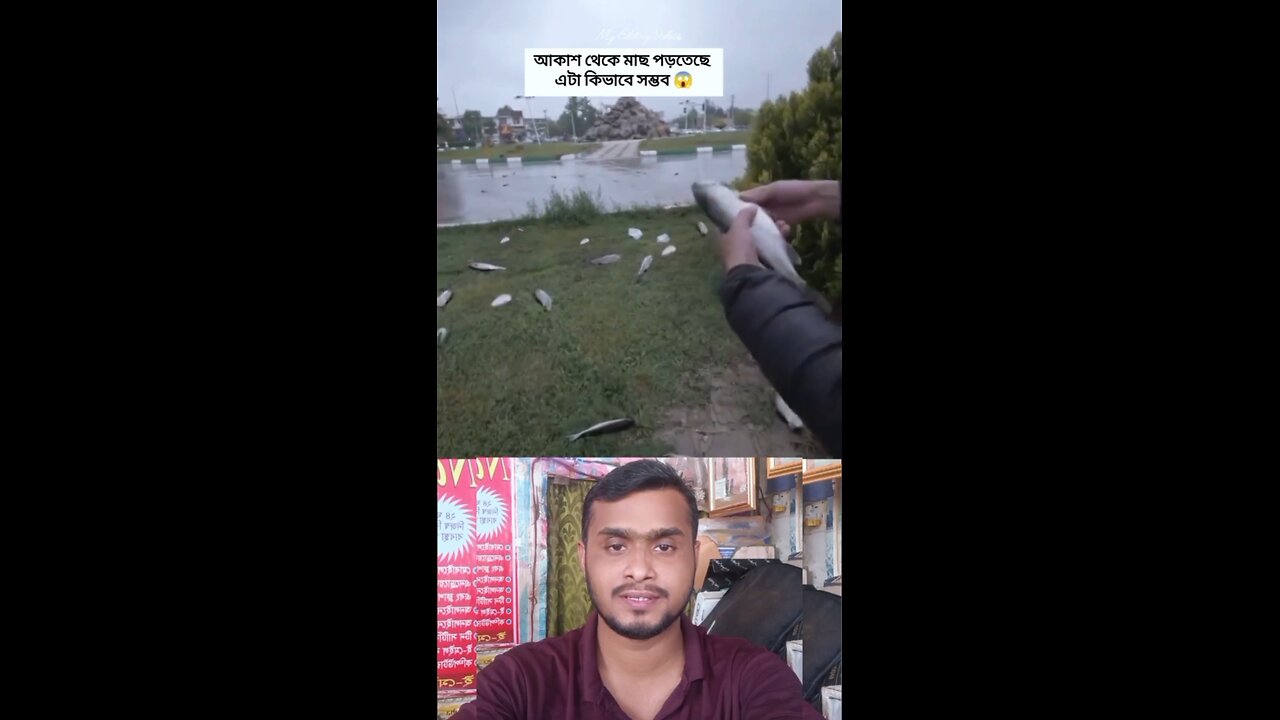 আকাশ থেকে মাছ পড়ছে এটা কিভাবে সম্ভব #shorts #viral