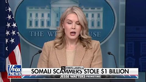 Somali Migrants Stole 1 Billion $ From The U.S