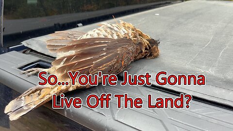 "I'm Just Gonna" Live Off The Land