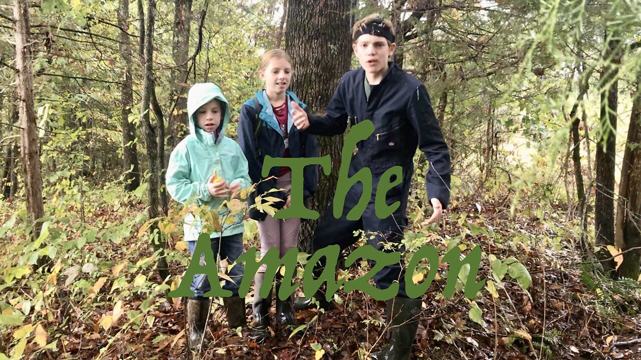 Exploring the Dangerous Amazon Rainforest (Ends In Disaster!) Revised
