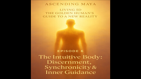 The Intuitive Body: Discernment, Synchronicity & Inner Guidance