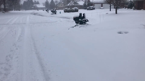 February 3, 2022 - A Walk to the Mailbox on a Snowy Day