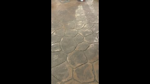 ￼ Harley Davison event Grateful Dead music Murfreesboro TN, November 14, 2025