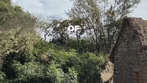 Machu Picchu Travel Guide: Best Things to Do In 2026