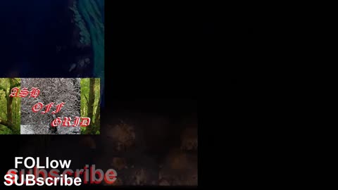 #hammond , is the reason for the dozen crashes